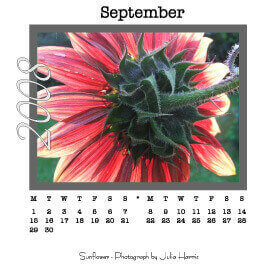 mini desk calendars artwork